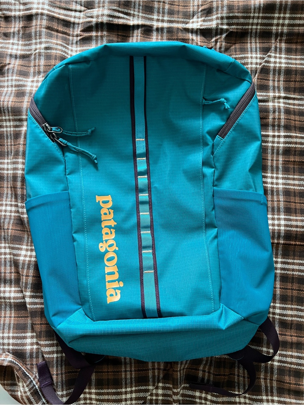 Patagonia Black Hole 25L Backpack Hiking Outdoors Belay Blue